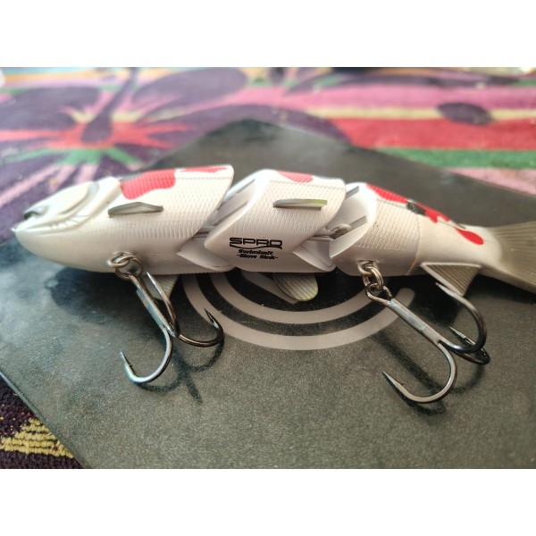 Bbz spro koi