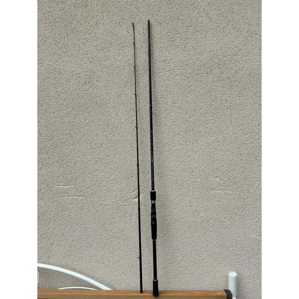 Canne Shimano Pike Casting 250XH 2.50m 2 brin 40-100gr