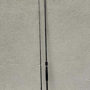 Canne Shimano Pike Casting 250XH 2.50m 2 brin 40-100gr