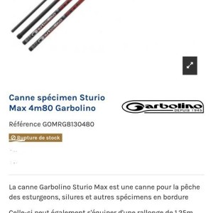 Canne spécimen 4,80m + ralonge 1,25
