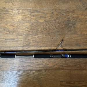 Canne Saltiga Bluefin 78