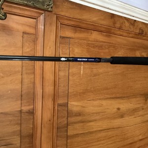 Canne Saltiga Bluefin 78