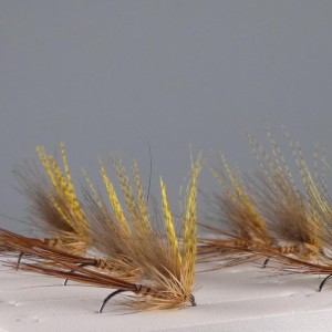 Mouche de Mai