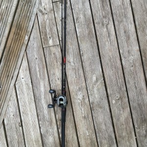 Canne casting big bait