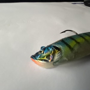 Leurre mega shad flaschmer