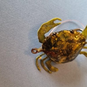Crabe