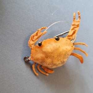Crabe