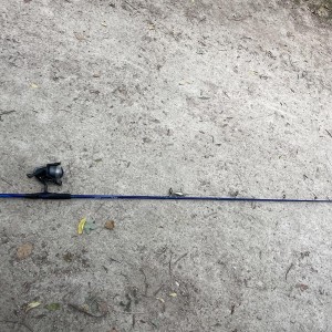 Canne à pêche