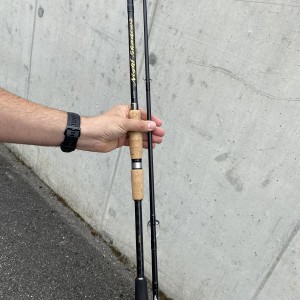 ILLEX night shadows special brochet S 220 XH // 20-120 GR // BIG BAIT