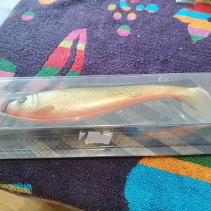 Shaker bait éléphant shad 22cm