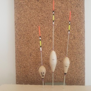 Flotteurs sturg2