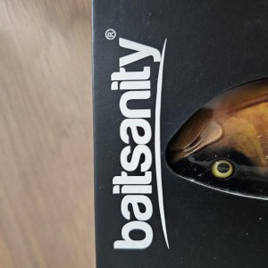 Baitsanity Explorer Glide Carp – Neuf en boîte