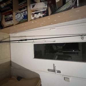Canne Carpe Daiwa Crosscast Carp