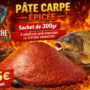 Pâte carpe au coup