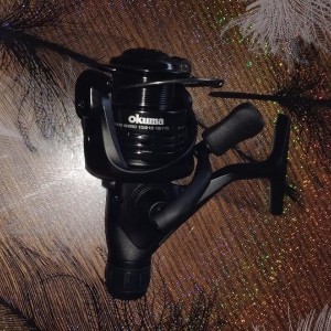 MOULINET CARBONITE CR-4000