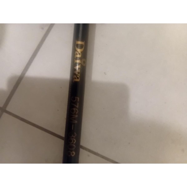 Canne a peche avec moulinet neuve daiwa