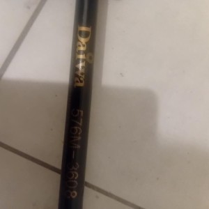 Canne a peche avec moulinet neuve daiwa