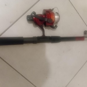 Canne a peche avec moulinet neuve daiwa