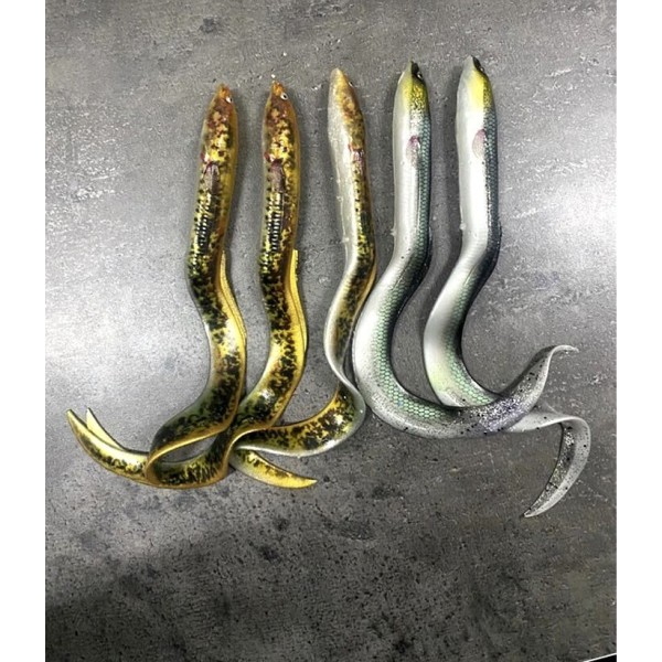 Lot Savage Gear Real Eel x5 – 20 cm / 30 g – Coloris naturels – Brochet / carnassiers
