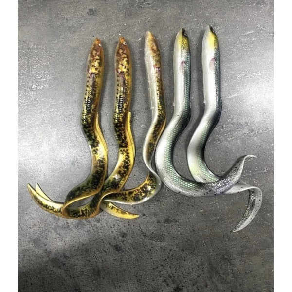 Lot Savage Gear Real Eel x5 – 20 cm / 30 g – Coloris naturels – Brochet / carnassiers