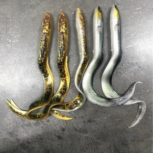 Lot Savage Gear Real Eel x5 – 20 cm / 30 g – Coloris naturels – Brochet / carnassiers