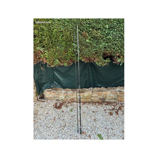 canne alexia spin light
