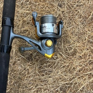 canne moulinet feeder