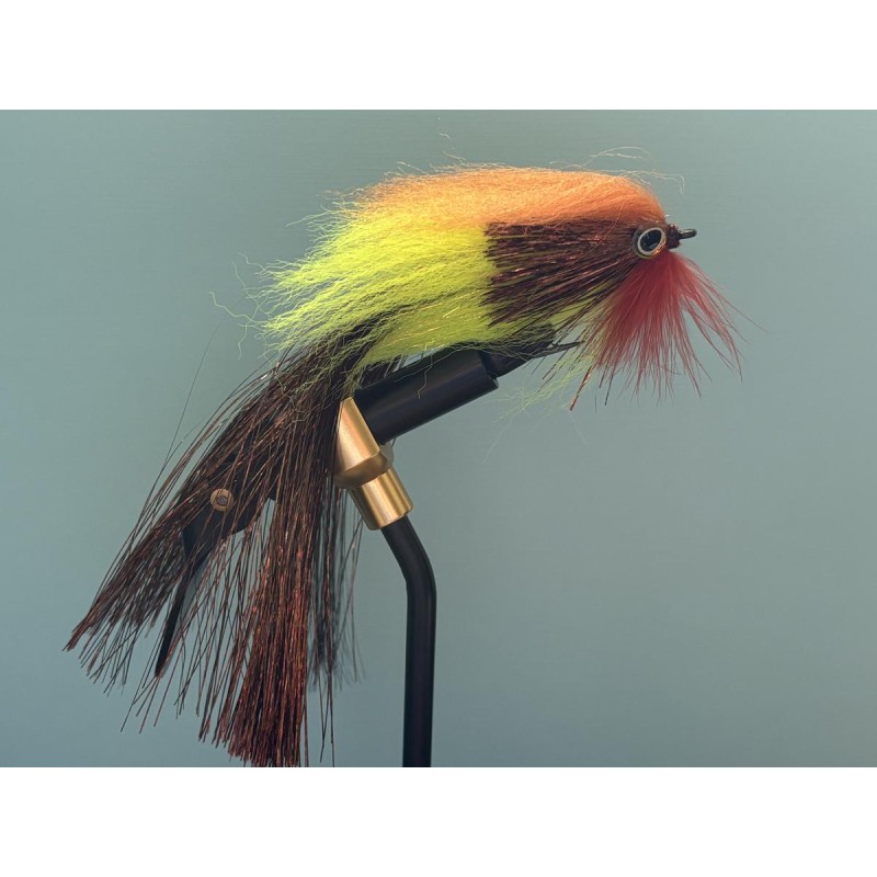 Mouche carnassiers lot de 4 pièces