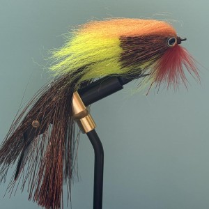 Mouche carnassiers lot de 4 pièces
