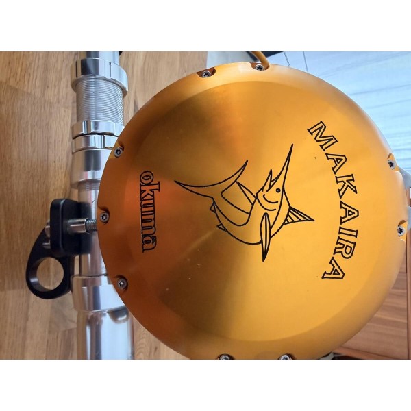 Ensemble canne+moulinet big game