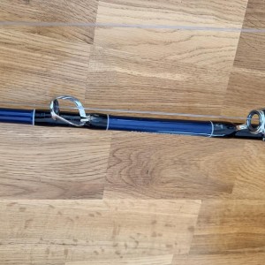 Ensemble canne+moulinet big game
