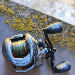 Ensemble casting Abu Garcia max lp 2m44