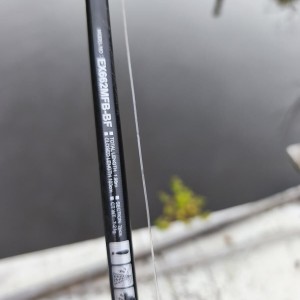 Ensemble casting Daiwa Tatula CT + Exceler 7–21 g
