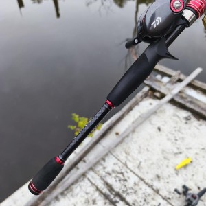 Ensemble casting Daiwa Tatula CT + Exceler 7–21 g