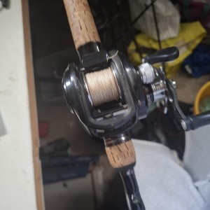 Moulinet lews pro cast serie 1