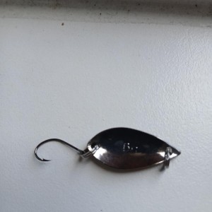 Lot de cuillères pêche truite