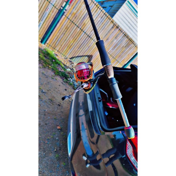 MEGABASS & DAIWA - 2x ensembles Megabass xlayer lmdt + daiwa silver wolf