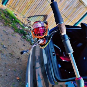 MEGABASS & DAIWA - 2x ensembles Megabass xlayer lmdt + daiwa silver wolf