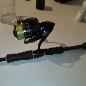 MEGABASS & DAIWA - 2x ensembles Megabass xlayer lmdt + daiwa silver wolf