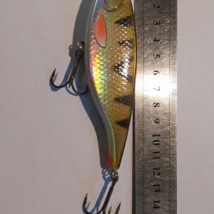 EFFZETT - Leurre Jerkbait 12 cm