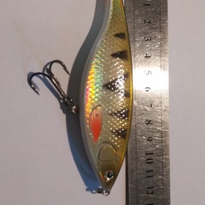 EFFZETT - Leurre Jerkbait 12 cm