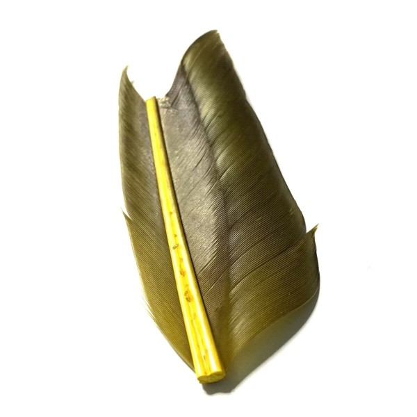 Plume de substitut de condor fabriqué en France- couleur jaune.olive