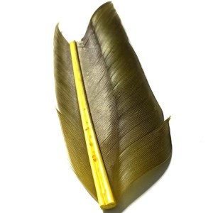 Plume de substitut de condor fabriqué en France- couleur jaune.olive