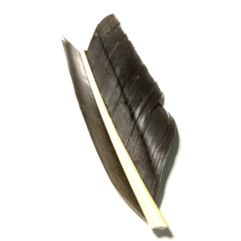 Plume de substitut de condor fabriqué en France- couleur jaune.olive