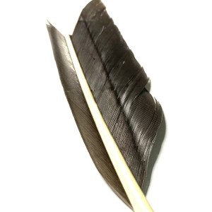 Plume de substitut de condor fabriqué en France- couleur jaune.olive