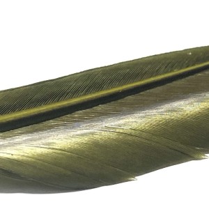 Plume substitut de condor fabriqué en France- couleur chocolat