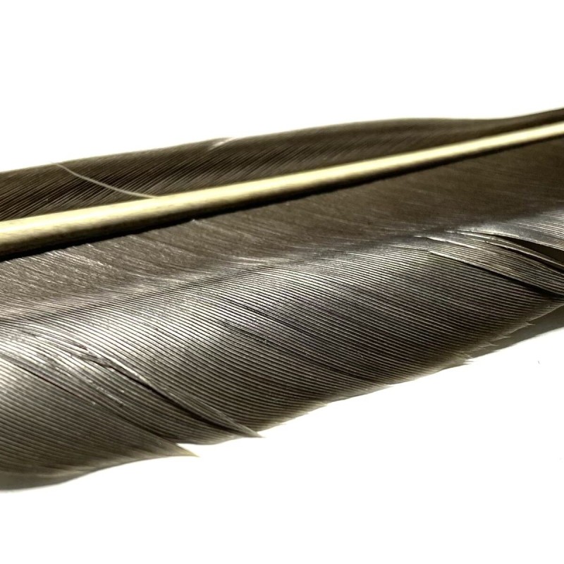 Plume substitut de condor fabriqué en France- couleur chocolat
