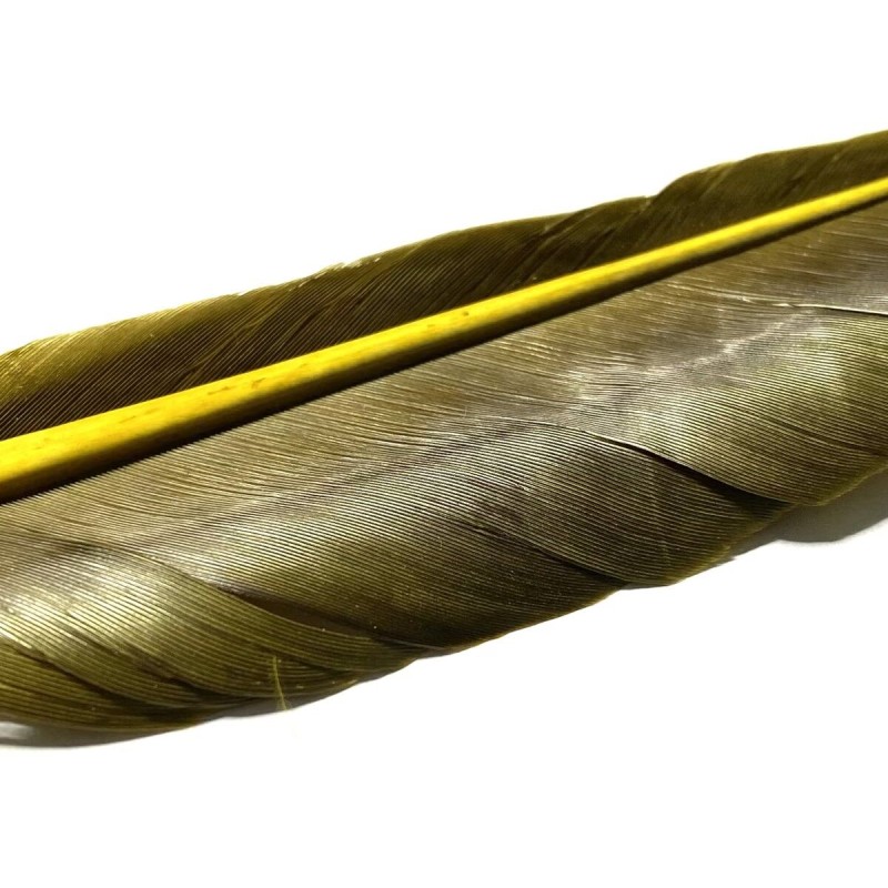 Plume substitut de condor fabriqué en France- couleur chocolat
