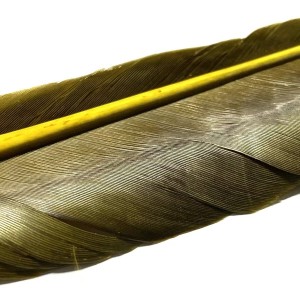 Plume substitut de condor fabriqué en France- couleur chocolat
