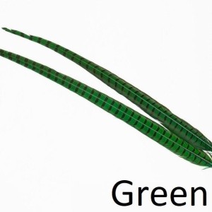 2x 50 cm- plume de faisant veniard- couleur vert